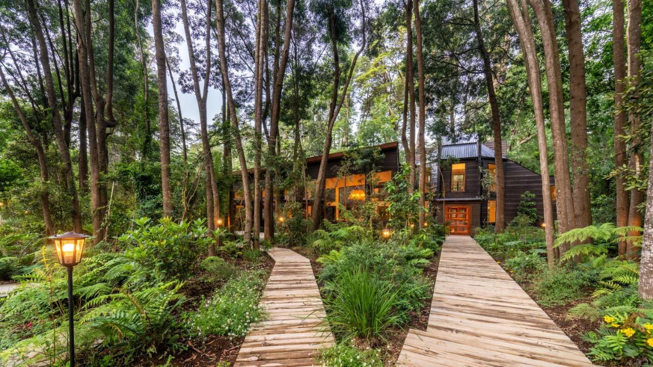 Rakau Lodge Pucón Exteriér fotografie