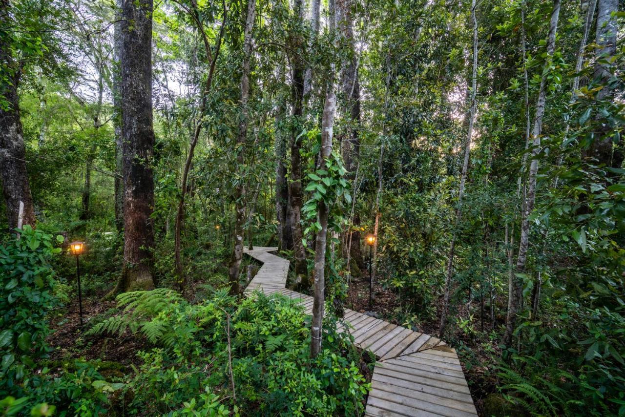 Rakau Lodge Pucón Exteriér fotografie